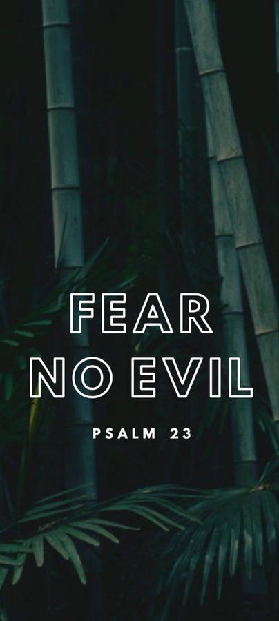 Fear No Evil Psalm23 Bamboo Background Wallpaper