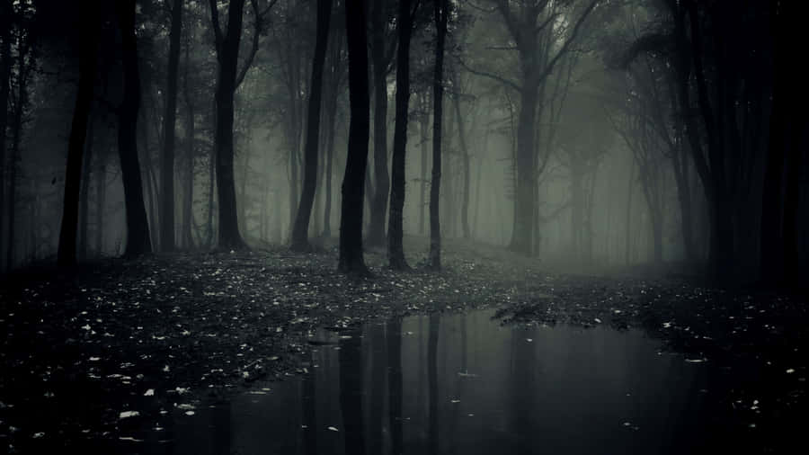 Feel Chills Running Up Your Spine With This Really Scary Image Wallpaper