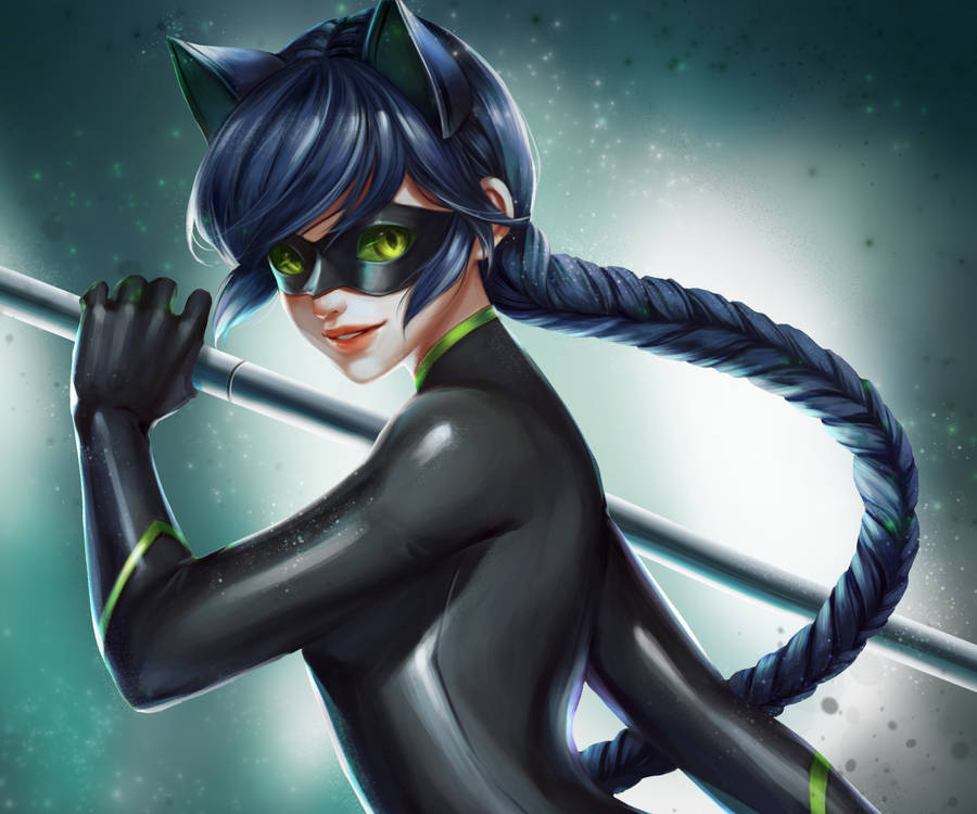 Female Cat Noir Miraculous Fanart Wallpaper