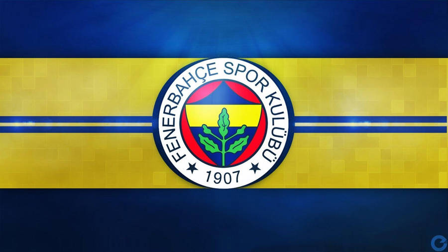 Fenerbahce Yellow Stripes Wallpaper