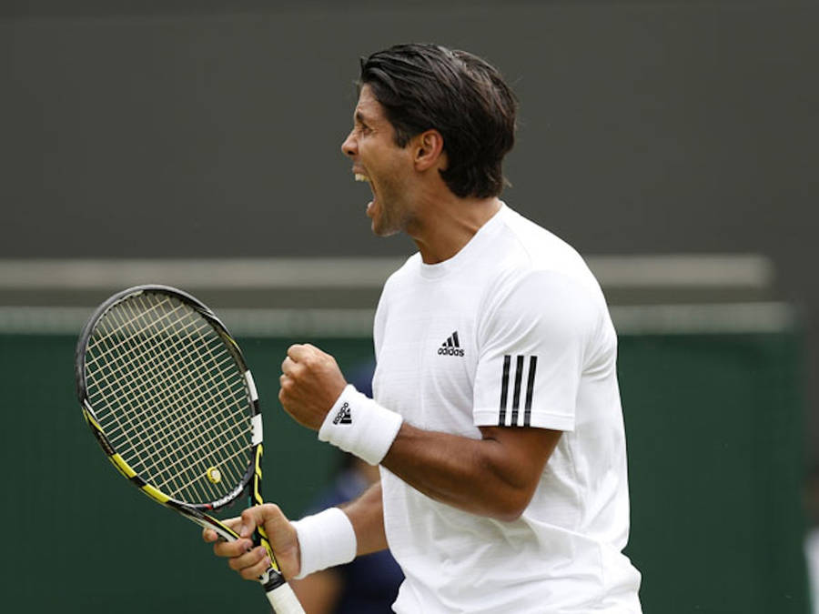 Fernando Verdasco Triumphant Wallpaper