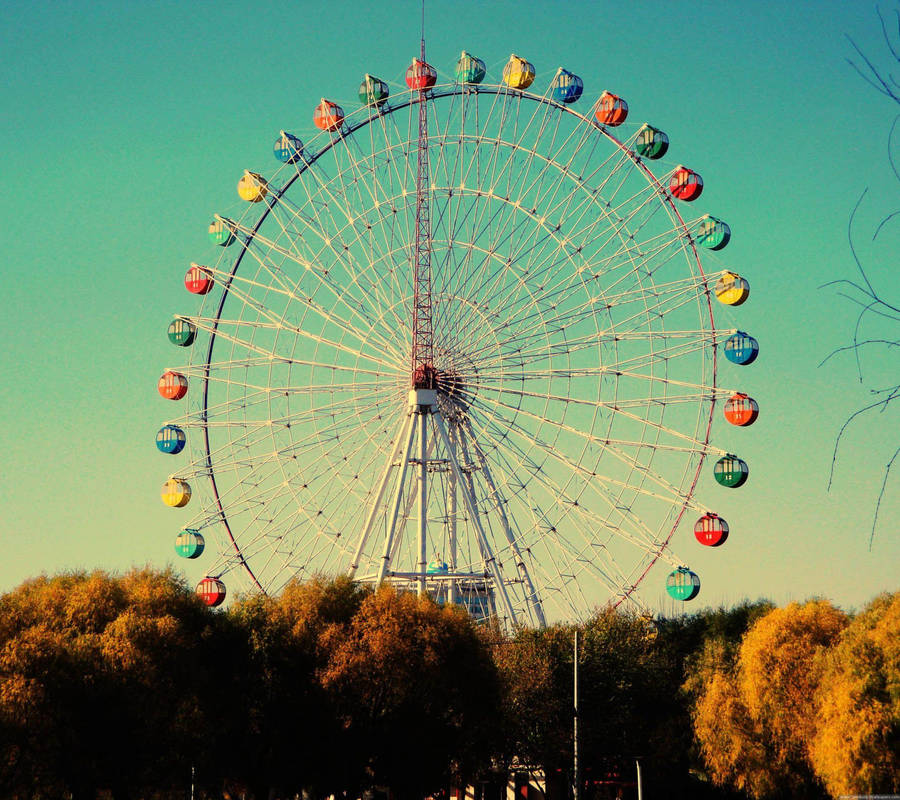 Ferris Wheel And Brown Leaf Trees Wallpaper