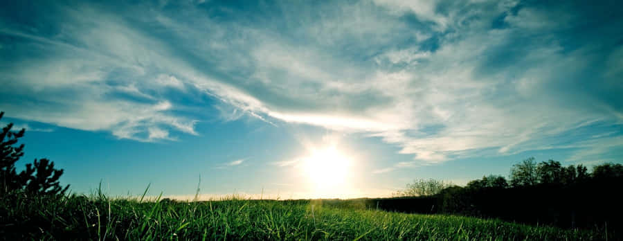 Fields Landscape Scenery Sunny Day Wallpaper