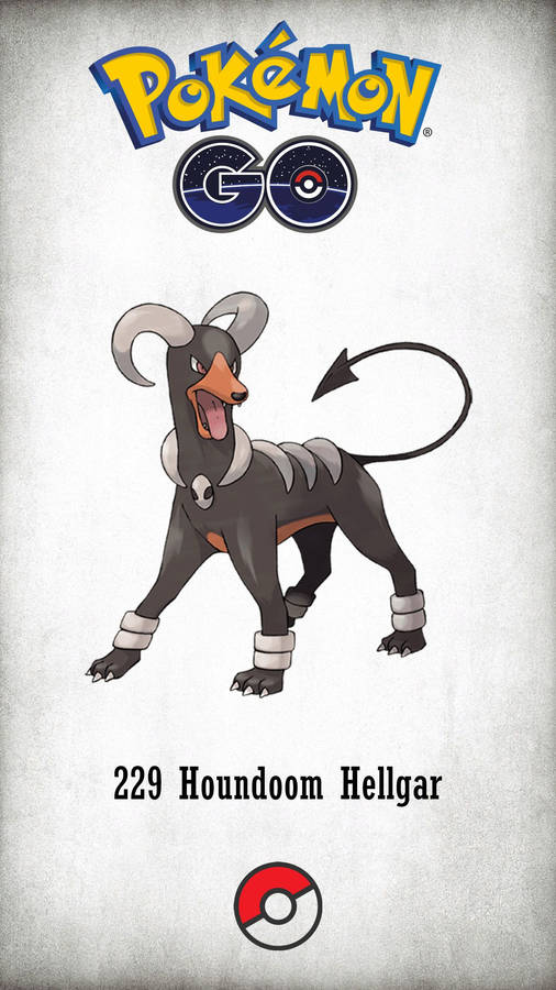 Fiery Stare Of Houndoom, The Bold Pokémon Wallpaper