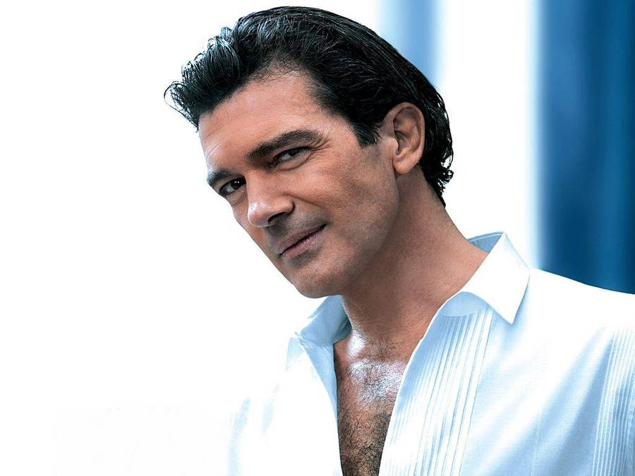 Film Director Antonio Banderas Wallpaper