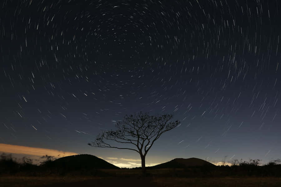 Find Tranquility Even In The Busiest Of Places. Wallpaper