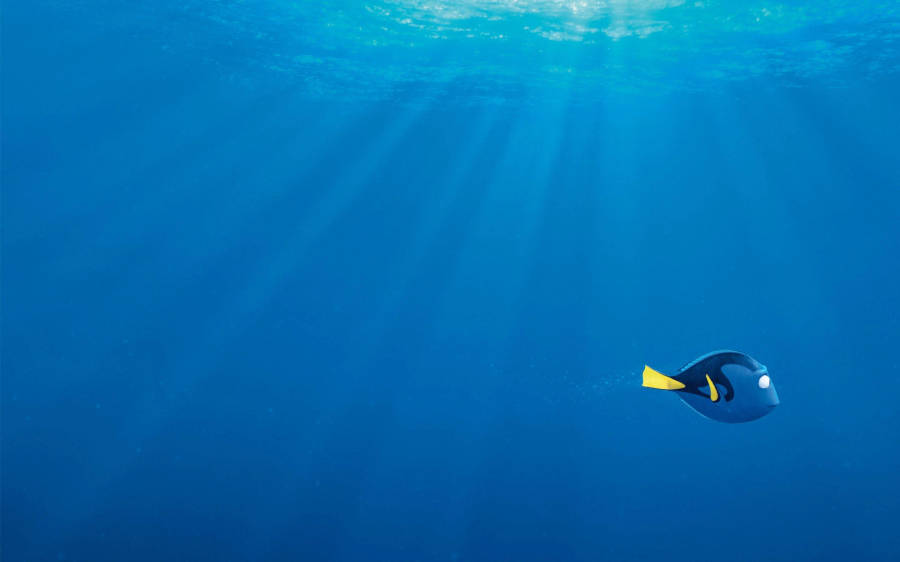 Finding Dory Minimalist Swimming Dory Art Wallpaper