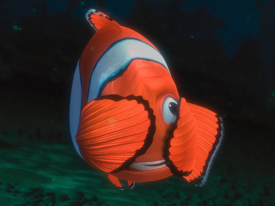 Finding Nemo Marlin With Orange Fins Wallpaper