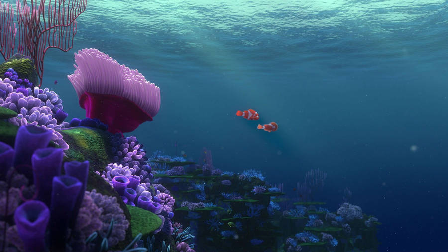 Finding Nemo Tropical Fish Wallpaper