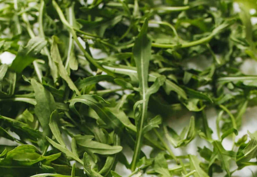 Fine Arugula Leaves Pile Wallpaper