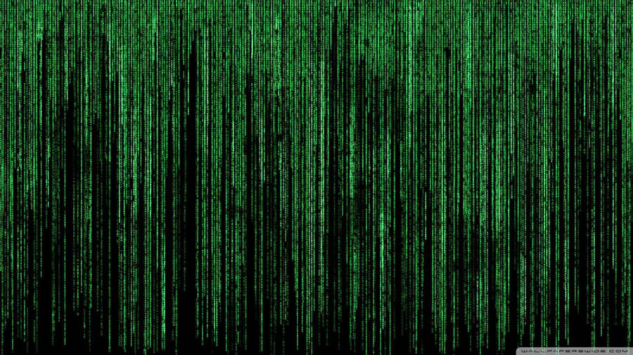 Fine Neon Green Matrix Wallpaper