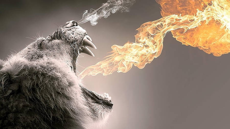 Fire Breathing Lion Wallpaper