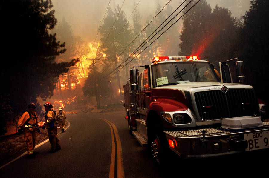 Firefighters In A Burning Area Wallpaper