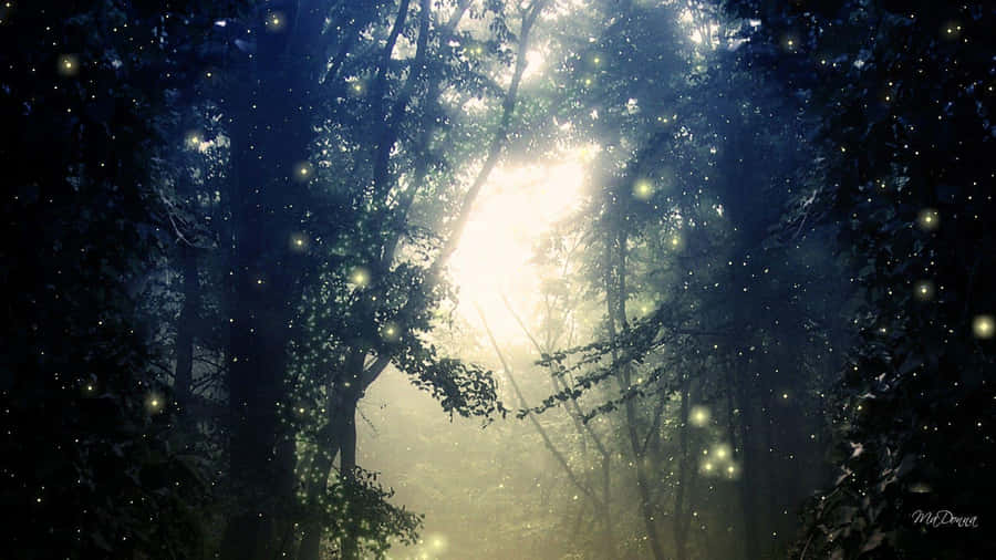 Firefly Hd With Light Wallpaper