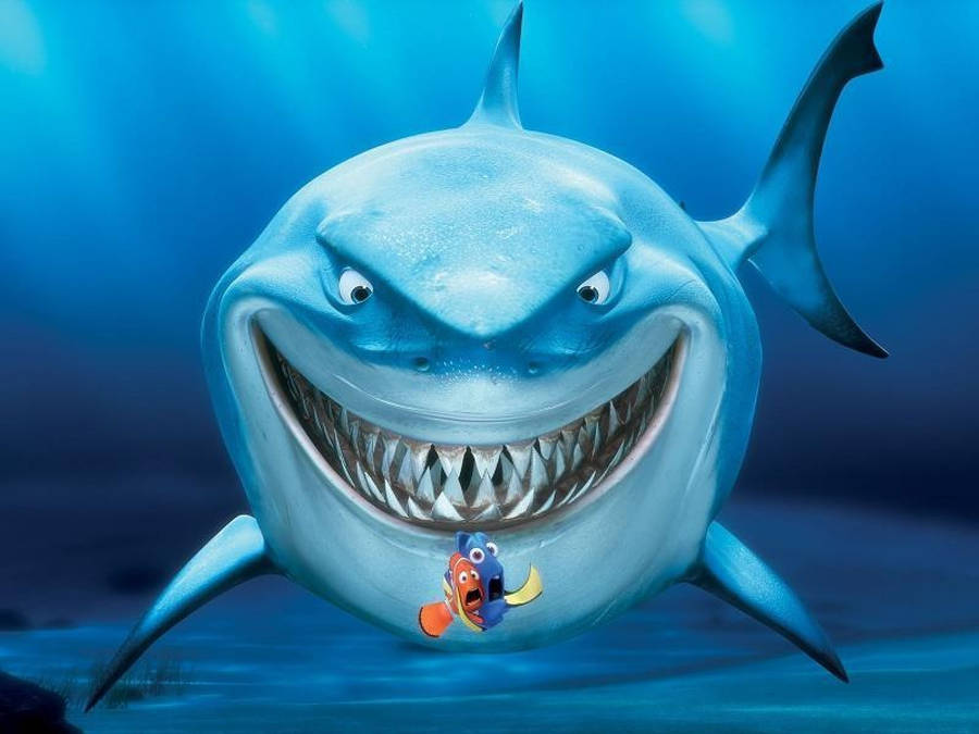 Fish Dory And Nemo Shark Attack Wallpaper