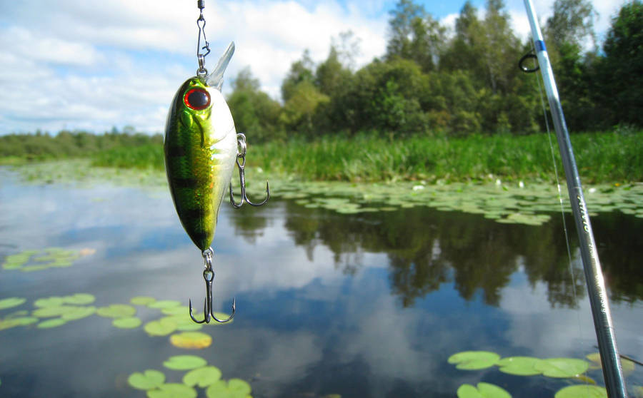 Fishing Lure In Lake Wallpaper