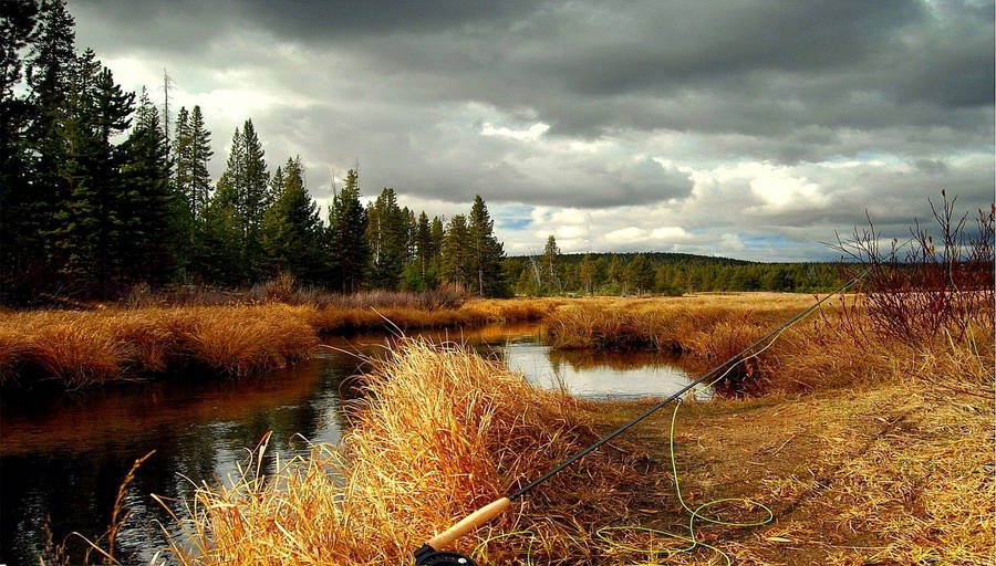 Fishing Rod Near River Wallpaper