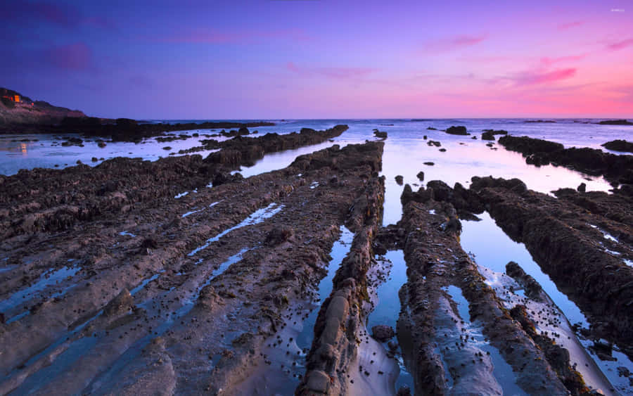 Fitzgerald Marine Reserve Mud Puddle Wallpaper