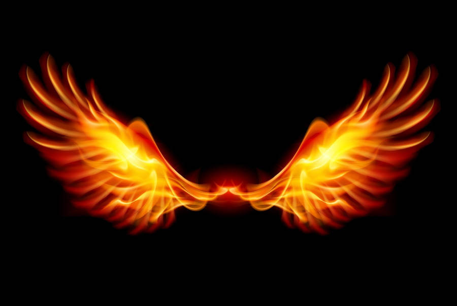 Flaming Phoenix Wings Hd Wallpaper
