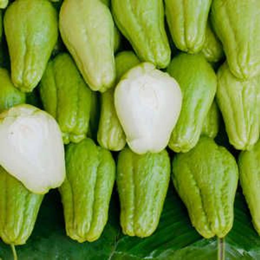 Flat Lay Chayote Wallpaper