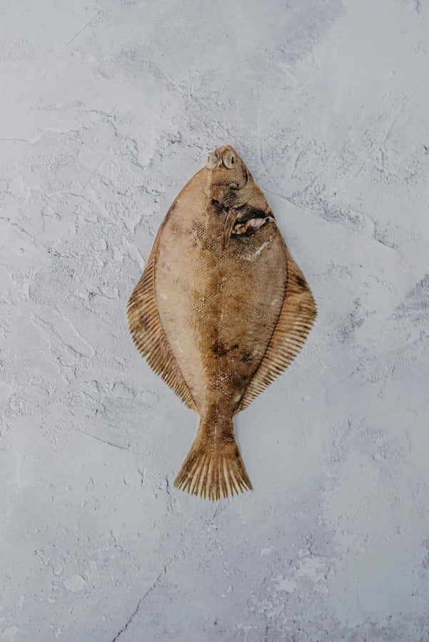 Flatfishon Textured Background Wallpaper