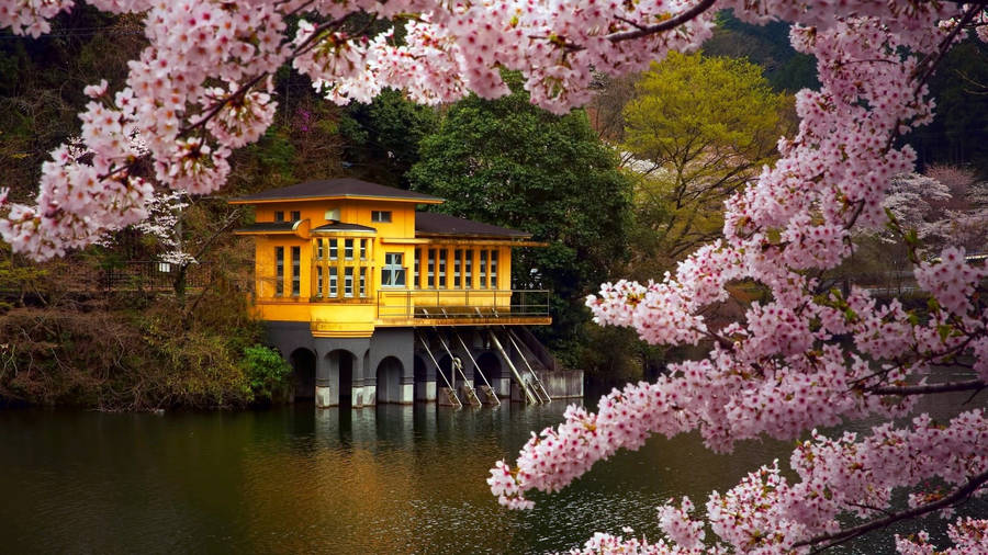 Floating House Japanese Nature Wallpaper