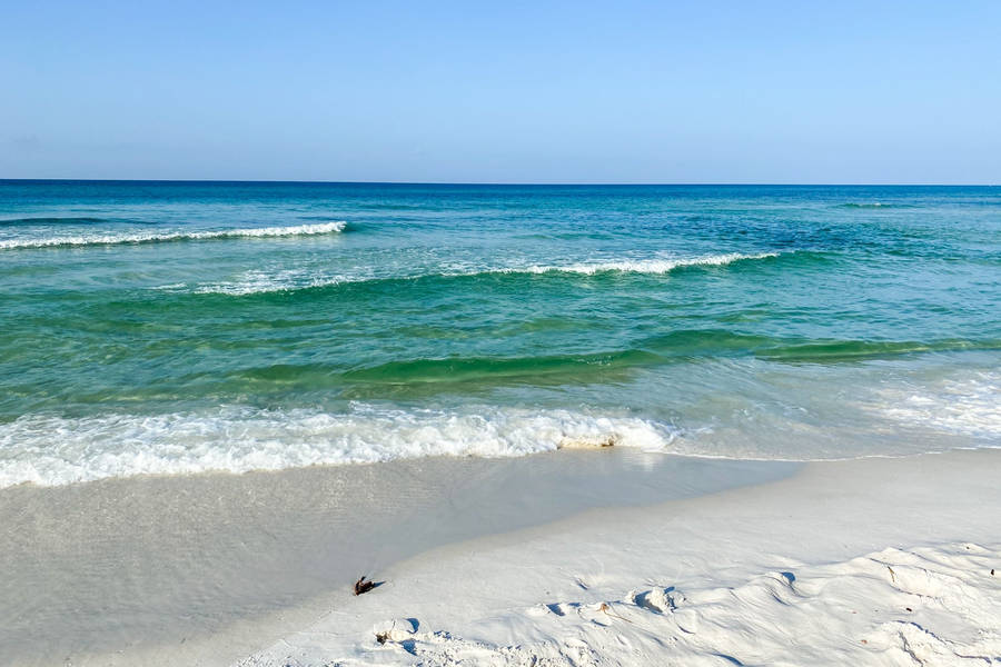 Florida Beach Emerald Green Waters Wallpaper