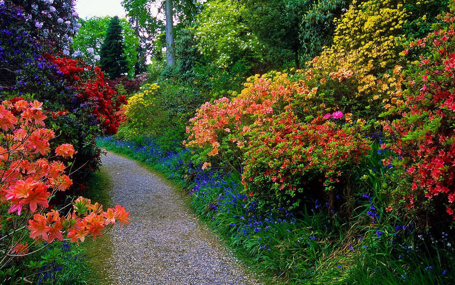 Flower Garden With A Pathway Wallpaper