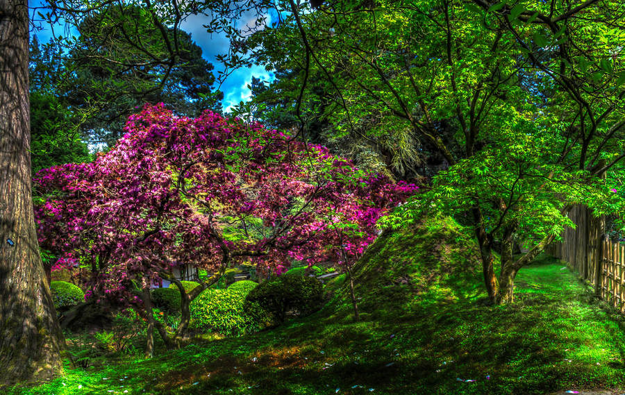 Flower Garden With Pink Flower Tree Wallpaper