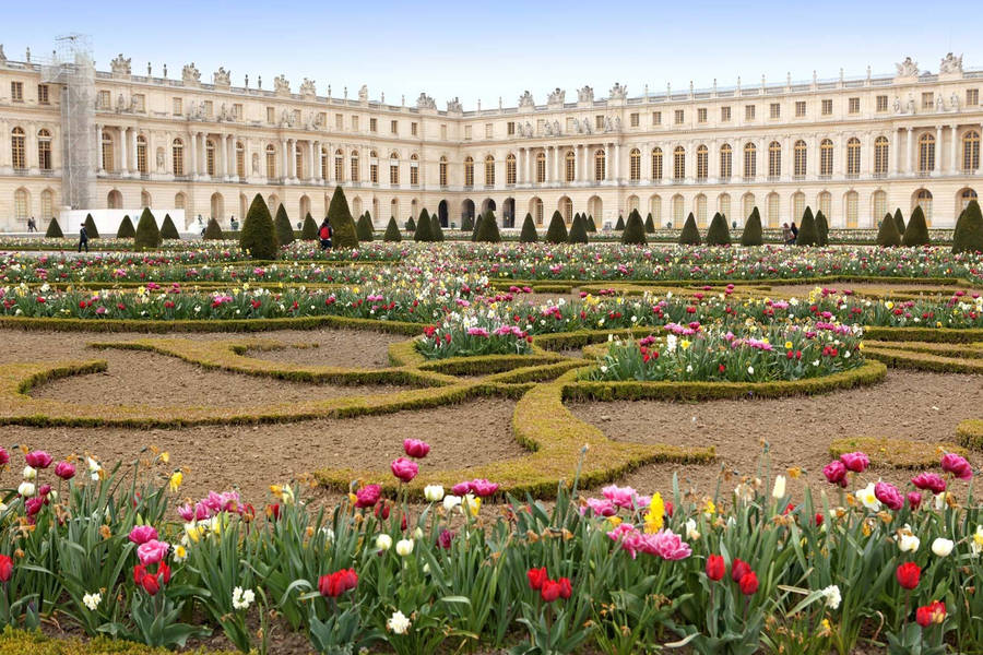 Flower Parterre At The Palace Of Versailles Wallpaper