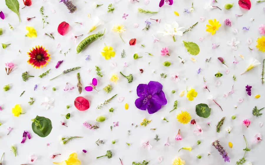 Flower Petals And Leaves Pattern Nice Desktop Wallpaper