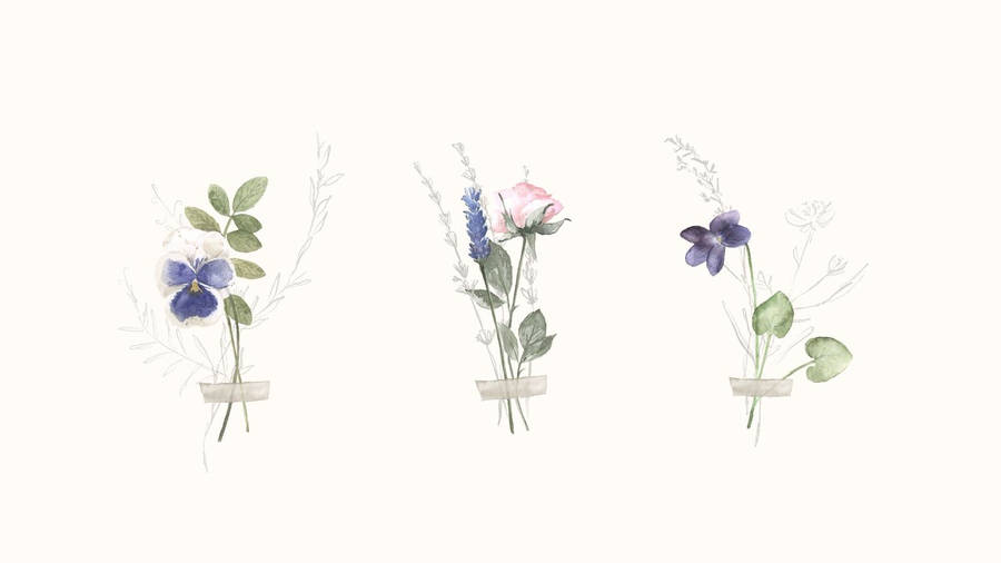 Flower Watercolors Spring Iphone Wallpaper