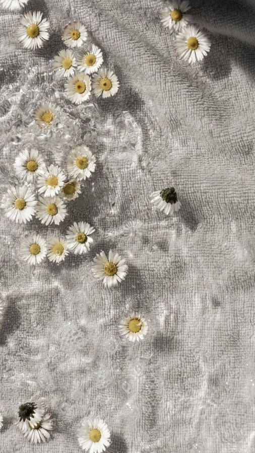 Flowers Aesthetic On Cloth Wallpaper