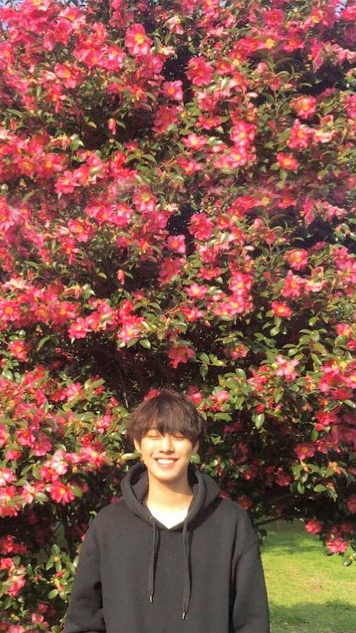 Flowers Behind Ahn Hyo Seop Wallpaper