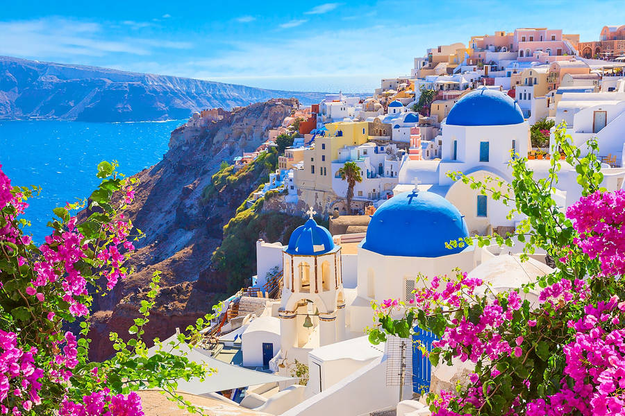 Flowers In Santorini Wallpaper