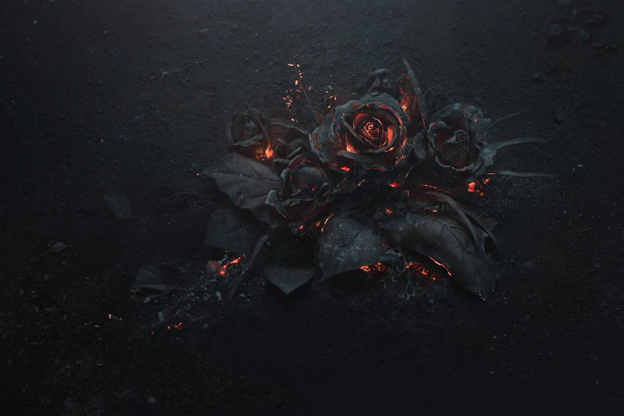 Flowers On 4k Fire Wallpaper