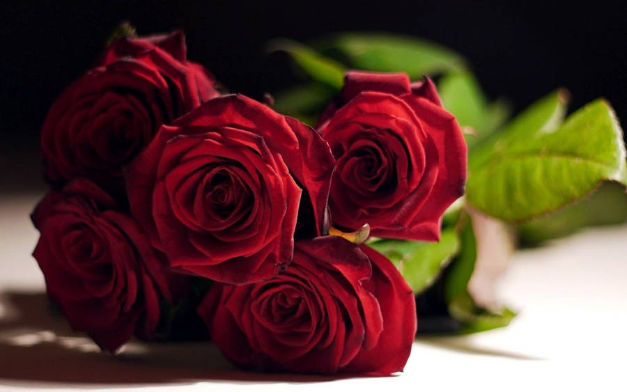 Flowers Red Rose Wallpaper - Awesome Wallpaper