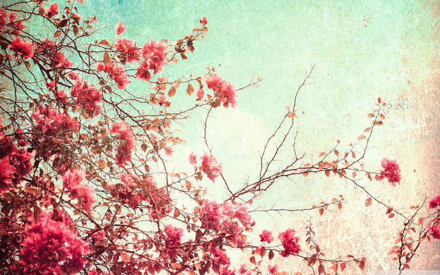 Flowers Vintage Aesthetic Laptop Wallpaper