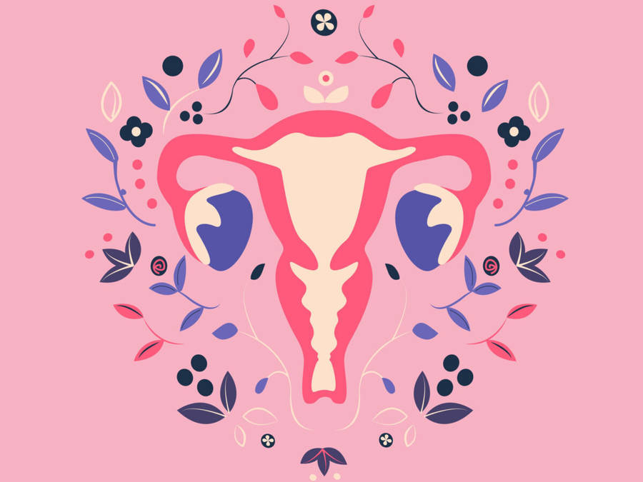 Flowery Uterus Menopause Image Wallpaper