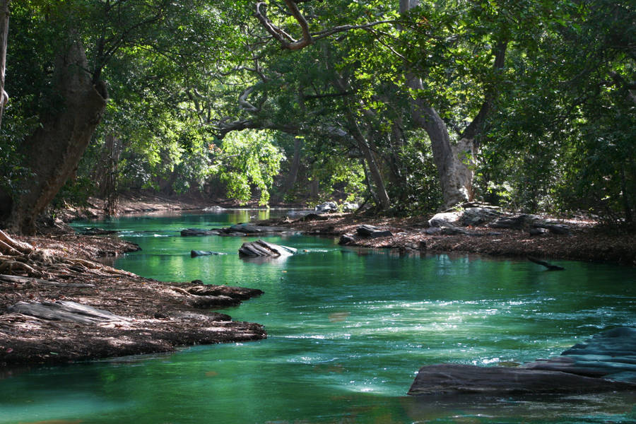 Flowing River Landscapes Wallpaper