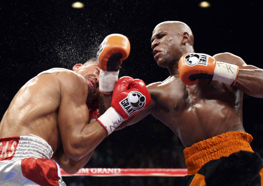 Floyd Mayweather Delivers A Brutal Hook Wallpaper