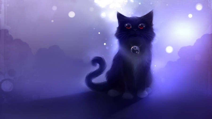 Fluffy Black Cat Computer Wallpaper