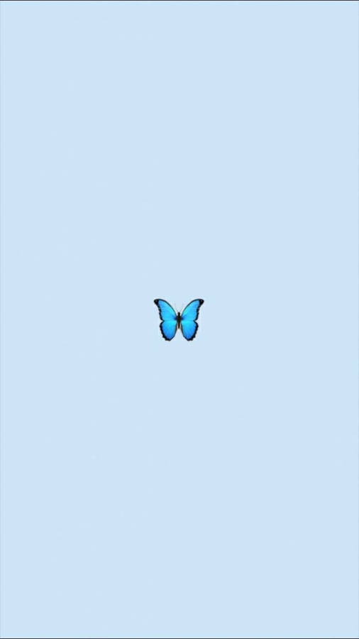 Flutter Through Life✨ Wallpaper