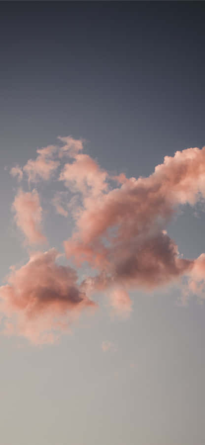Flying Through The Expanse Of White Clouds Wallpaper