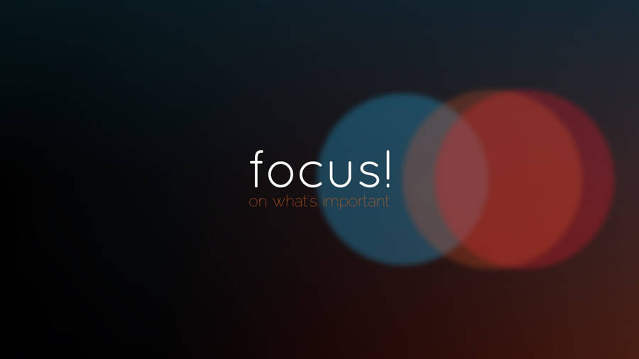 Focus Attitude 4k Wallpaper