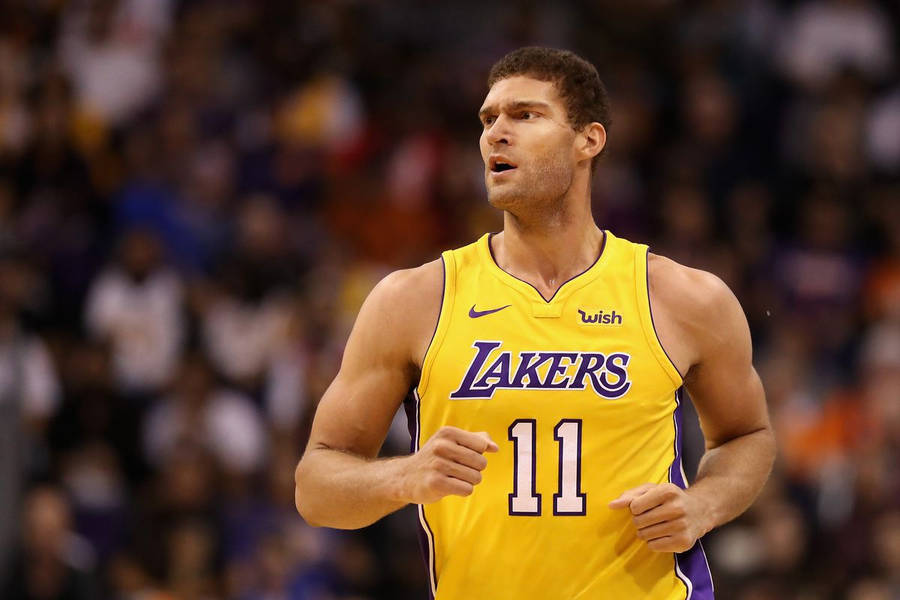 Focus Look Of Brook Lopez Wallpaper