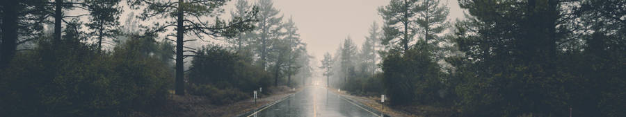 Foggy Country Road Three Screen Wallpaper