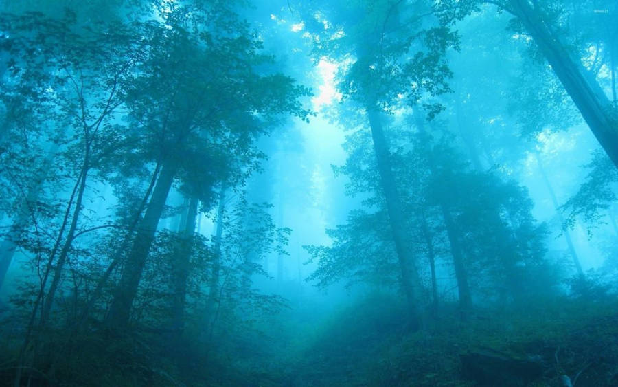 Foggy Forest Blue Dreamlike Wallpaper