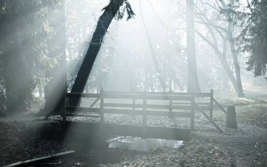 Foggy Forest Bridge Grayscale Wallpaper