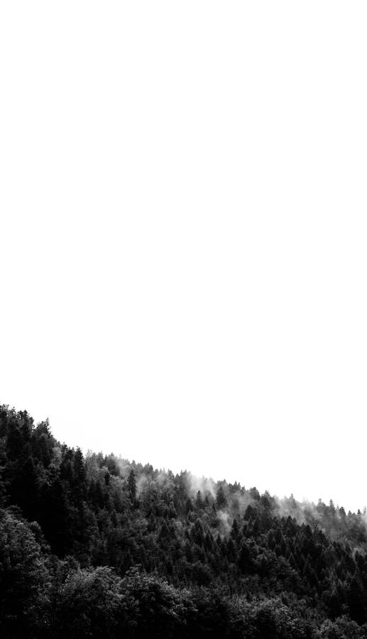 Foggy Forest Greyscale Portrait Wallpaper